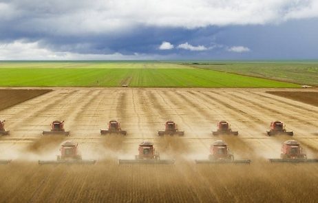 IBGE prevê maior safra da história com quase 214 milhões de toneladas