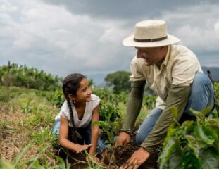 agricultura-e-meio-ambiente-entendendo-essa-relacao-2-20180611161435.jpg-1024x638