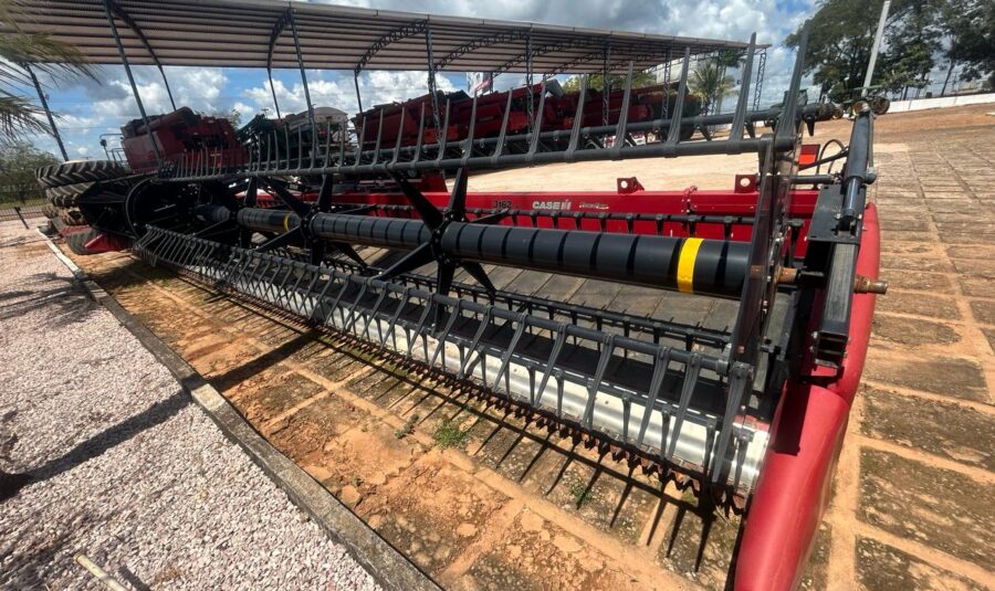 WhatsApp Image 2024-04-19 at 14.39.43 - Copia