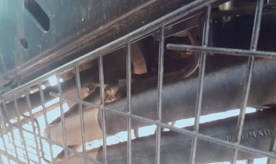 WhatsApp Image 2025-11-21 at 09.30.42