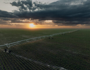 Pivot_Lindsay-0128