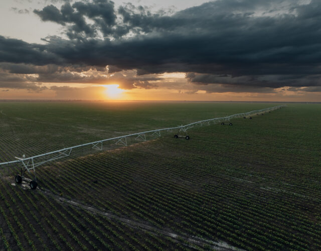 Pivot_Lindsay-0128