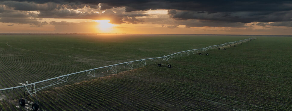 Pivot_Lindsay-0128