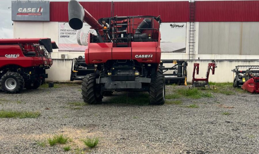 WhatsApp Image 2026-01-22 at 15.51.06 (1)