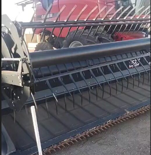 WhatsApp Image 2026-01-22 at 16.08.58